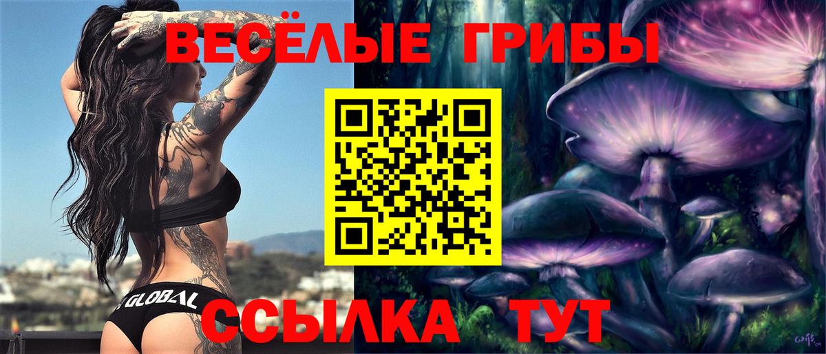 Зерноград  Псилоцибиновые грибы мухоморы  Псилоцибиновые грибы Psilocybine cubensis  Вход с VPN 